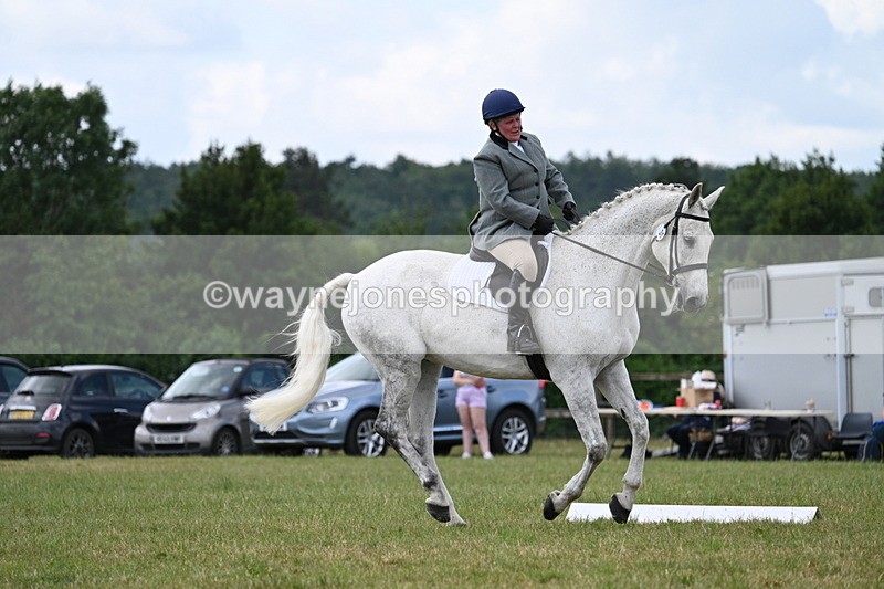 WJ7_5141 - Time 11:22 to 11:51