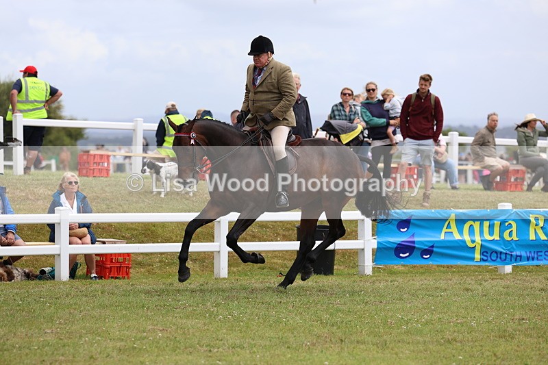 3E7A0975 - Class 8: Open Riding Horse/Hack