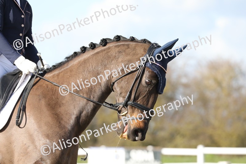 20260314-5032 - CT6 - Elementary 1