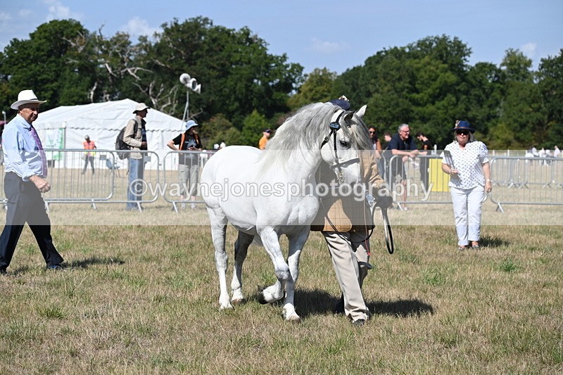 WJ6_4740 - Class 17 Mountain & Moorland