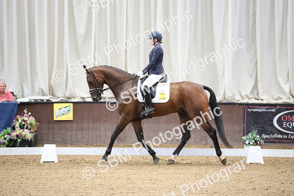 SBM_002110 - Class 5 - Novice 6 Gold - 9.00-10.10