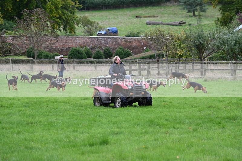 WJ7_4353 - Camera 1 Line 3