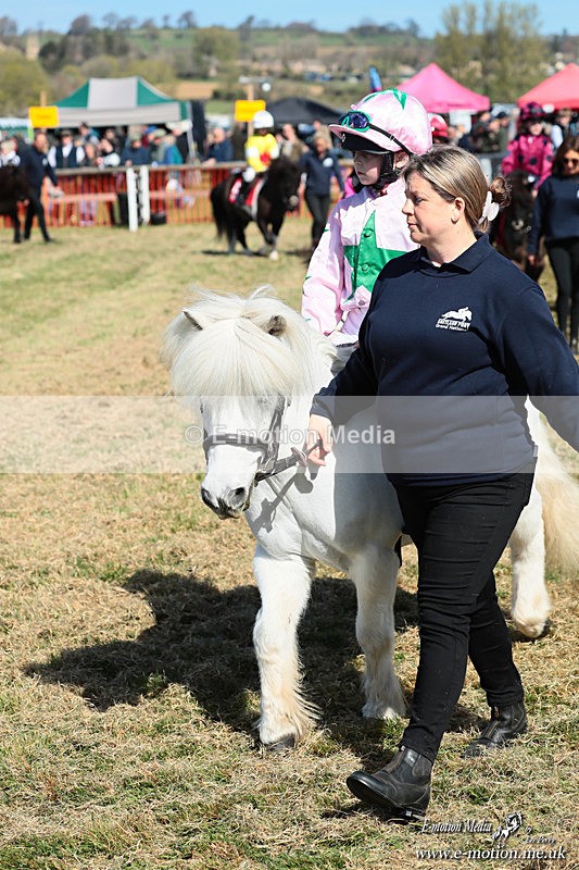 Shet 060426 100 - Shetland Pony Racing Paxford Races Easter Mon 06/04/26