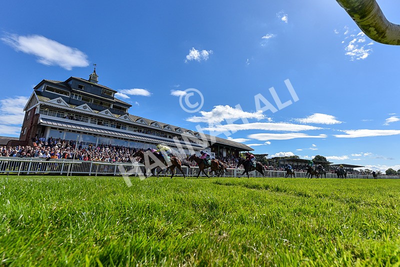 160624-Race 1-Alice Fairfax-2-3 - Race 1