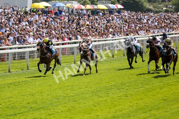 270523-Race 1-Doctor Khan Junior-0394 - Race 1 1.35pm William Hill Keep Your Raceday Positive Handicap