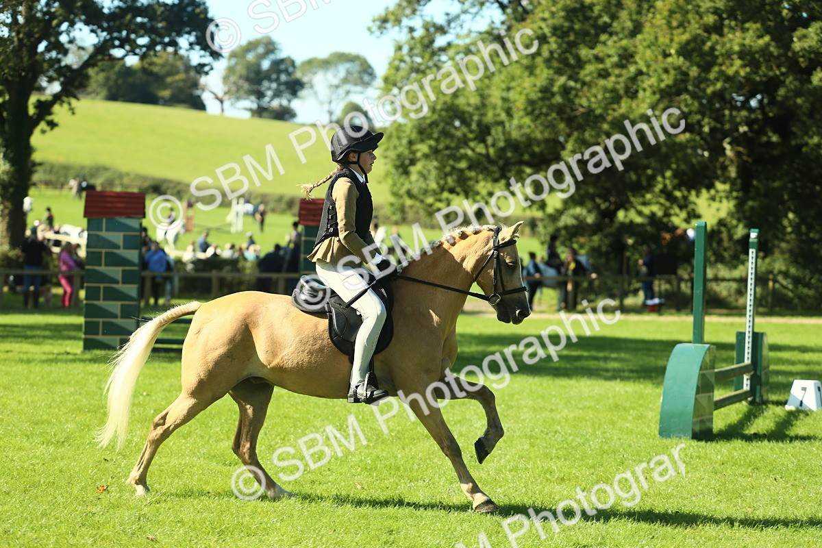 SBM_37479 - S29 - Novice & Newcomers Working Hunter Pony