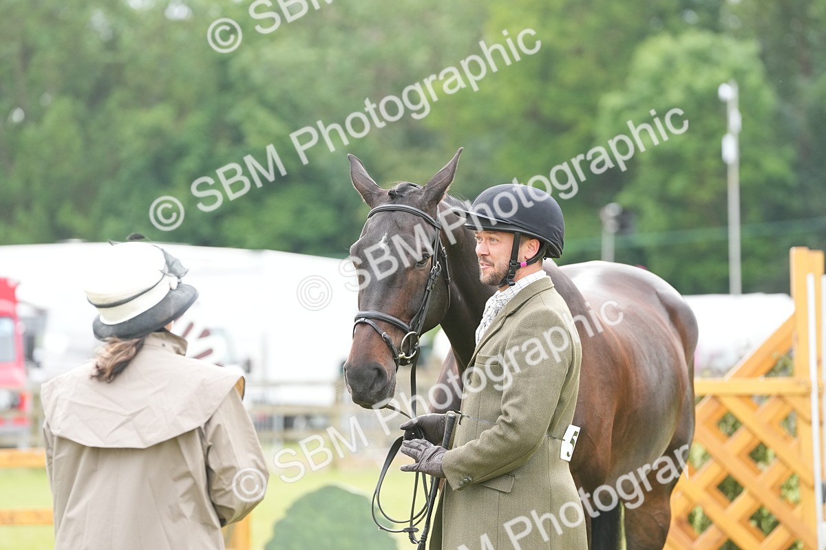 SBM_12752 - Class 97-98 - LIHS BSHA Rising Star Working Show Horse Hunter