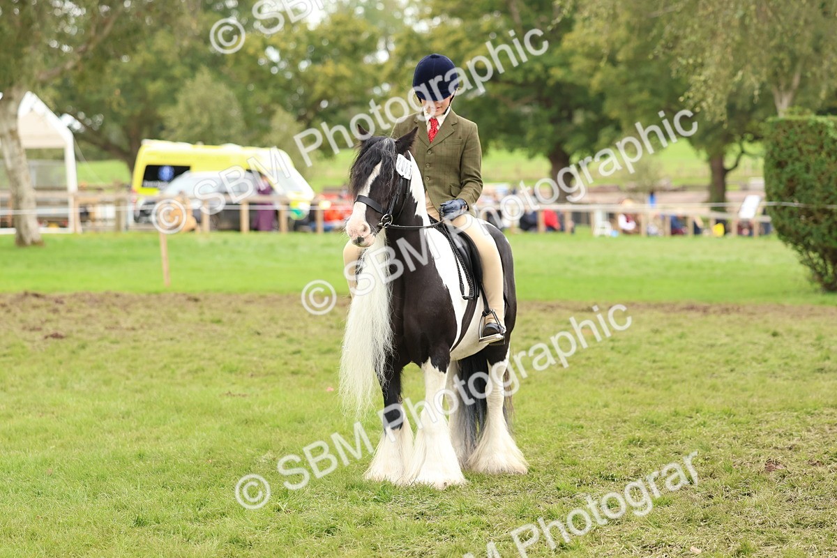 SBM_64512 - S58 - Coloured Pony Ridden