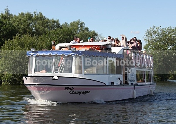 090703 PINK CHAMPAGNE IMG_7644 - HENLEY REGATTA FRIDAY 3rd JULY 2009
