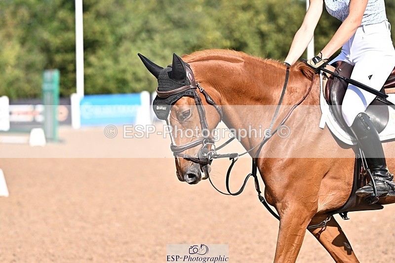 260812-094443-00091 - Cls 2 British Novice and 90cm