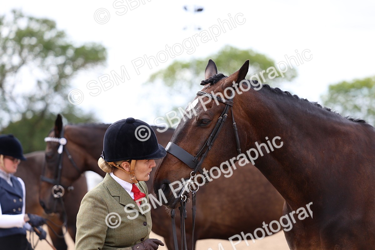 SBM_05777 - Class 28 - IH Veteran Horse