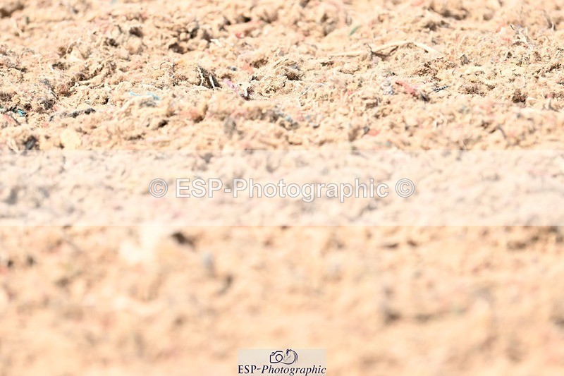 250620-152106-03905 - BD Cls 7 - Elementary 5, 14.40 to End