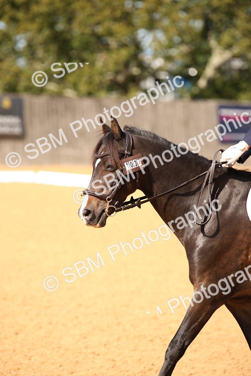 SBM_21821 - D5 - Small Tour Championship - Intro C