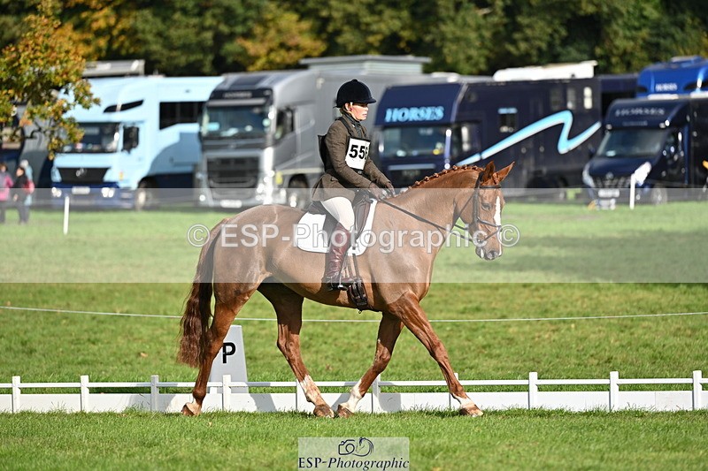 251024A-102618-08322 - G-556-Abi.Jacobs