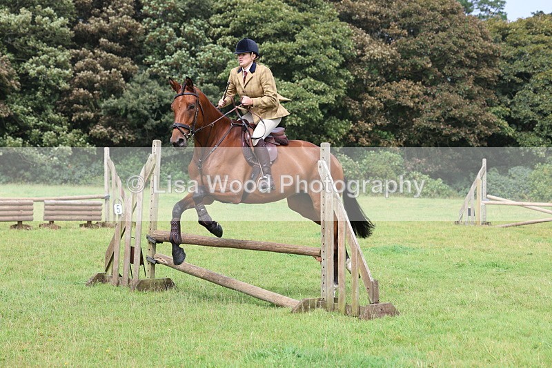 3E7A5830 - Class 26 and 27: 70cm Working Hunter