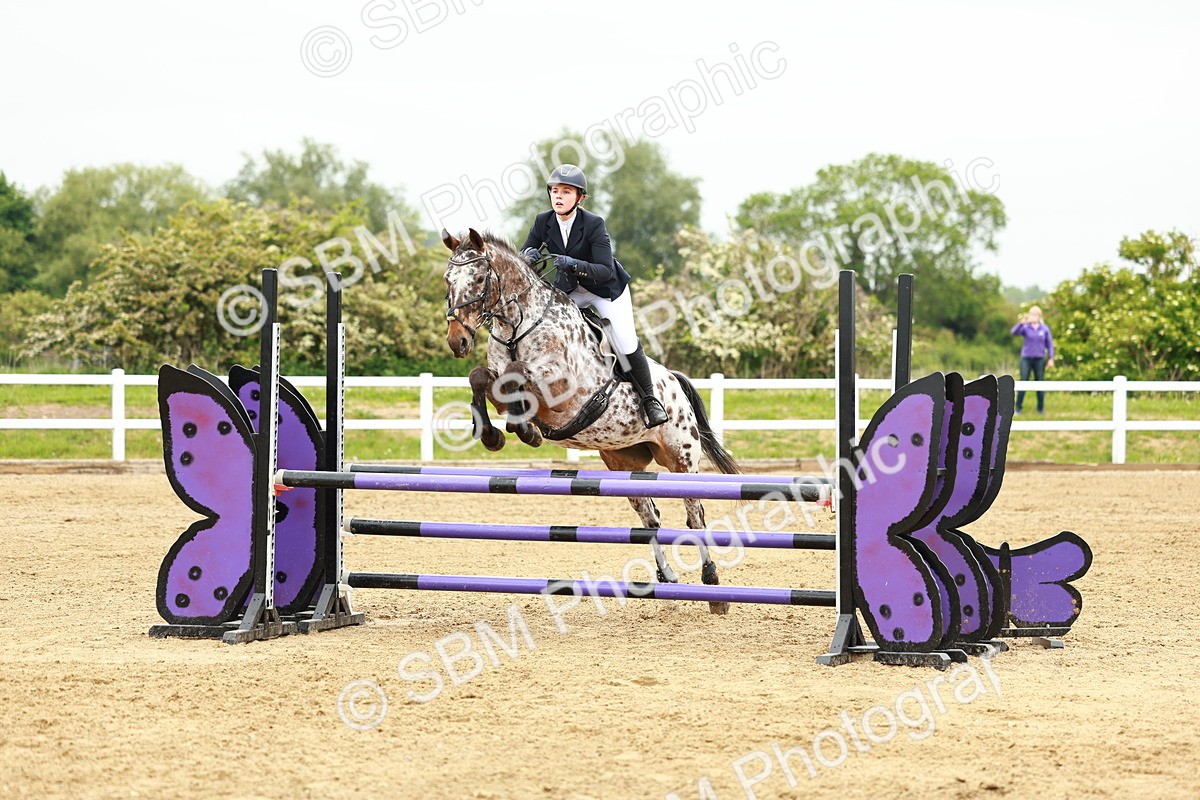 SBM_000350 - Class 2 - Senior British Novice - 90cm