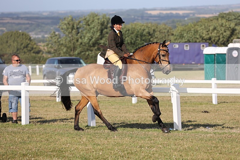 JPP_3293 - Class 21: Working Hunter 80cm