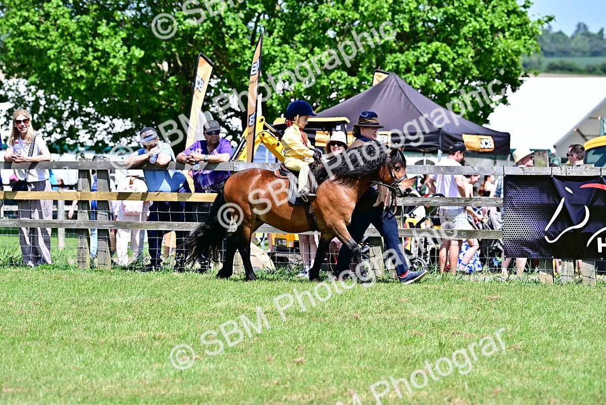 SBM_05900 - Class 59-60 - TSR M&M  Lear Rein and First Ridden Amateur of the year