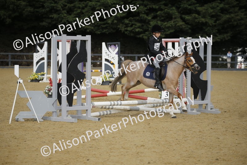 20250622-1249 - 40cm