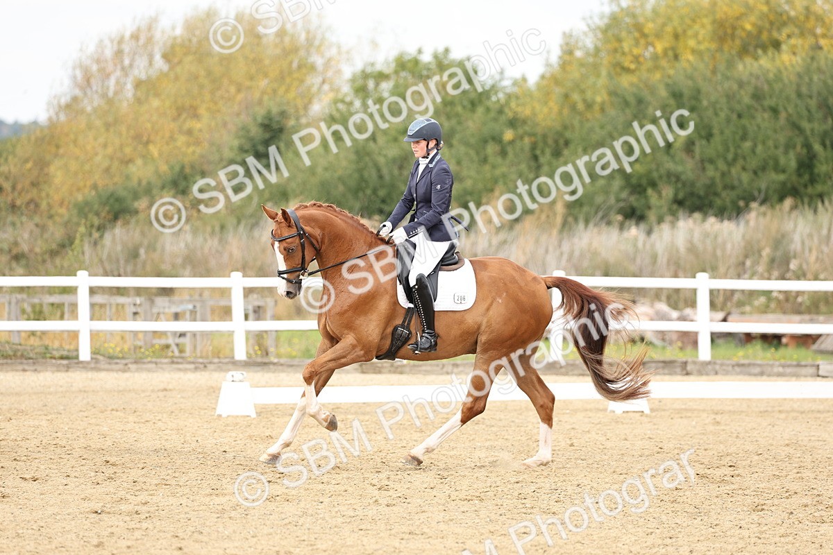 SBM_013117 - Class 3 - Novice 4 - 11.43-12.25