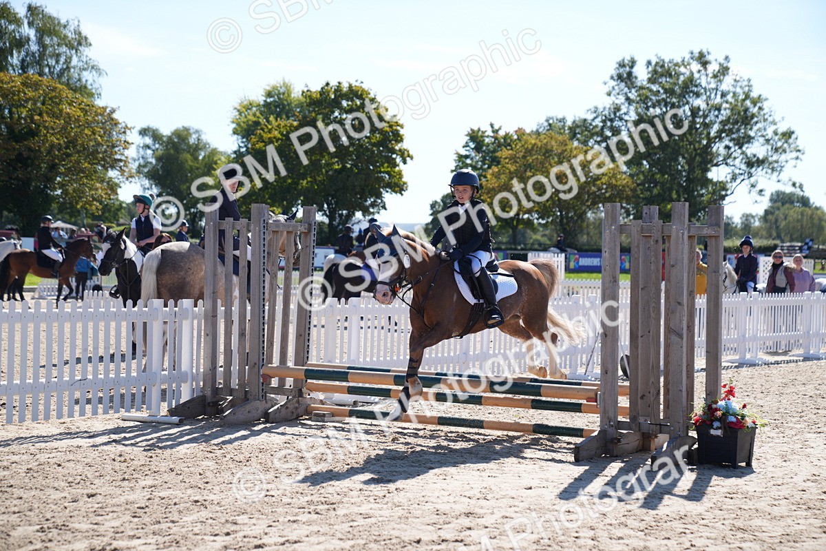 SBM_19437 - J57 - Clear Round 50cm