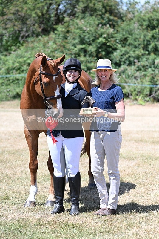 WJ7_2519 - Most Handsome Gelding Champs