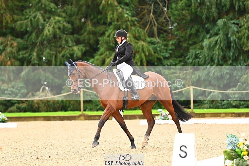 231021-100525-12664 - 229-HARTHILL.SAMBA-Charlotte.Rowe-DR