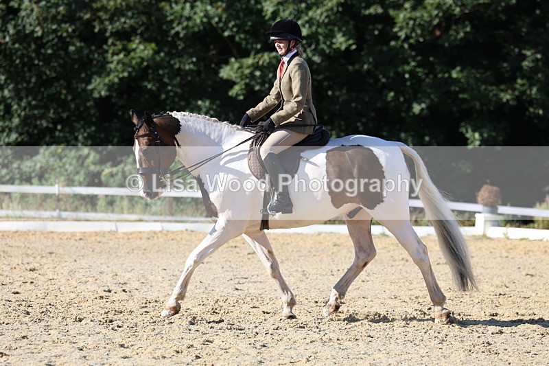 3E7A5266 - Class 8: Small Ridden Hunter