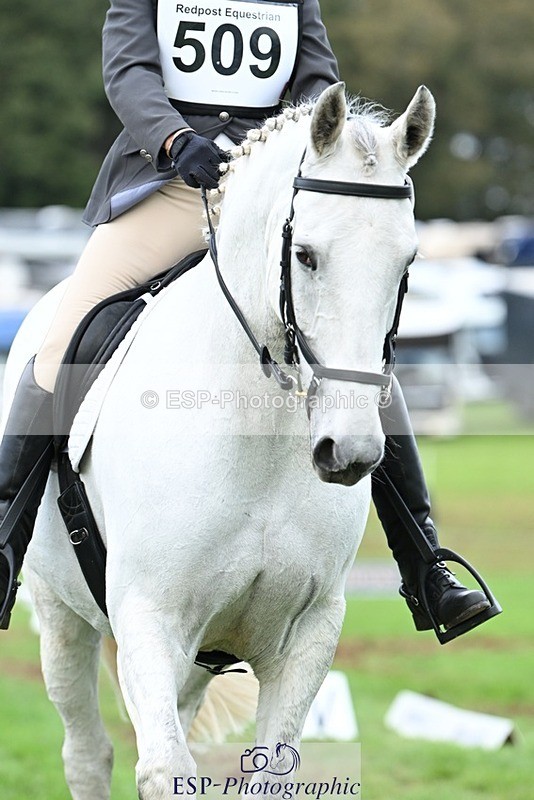 231020-155058-11286 - 509-WOODLANDS.SILVER.CLOUD-Karen.Cowling-DR