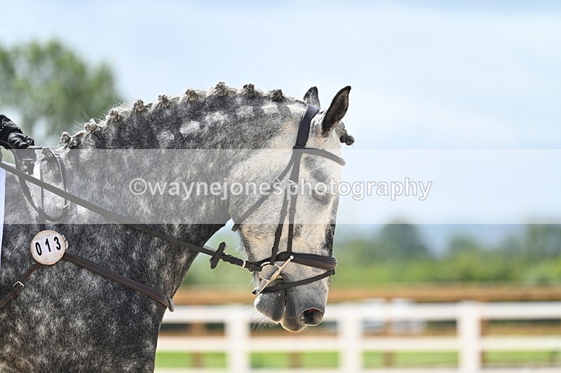 WJ7_5395 - Time 11:10 to 11:28