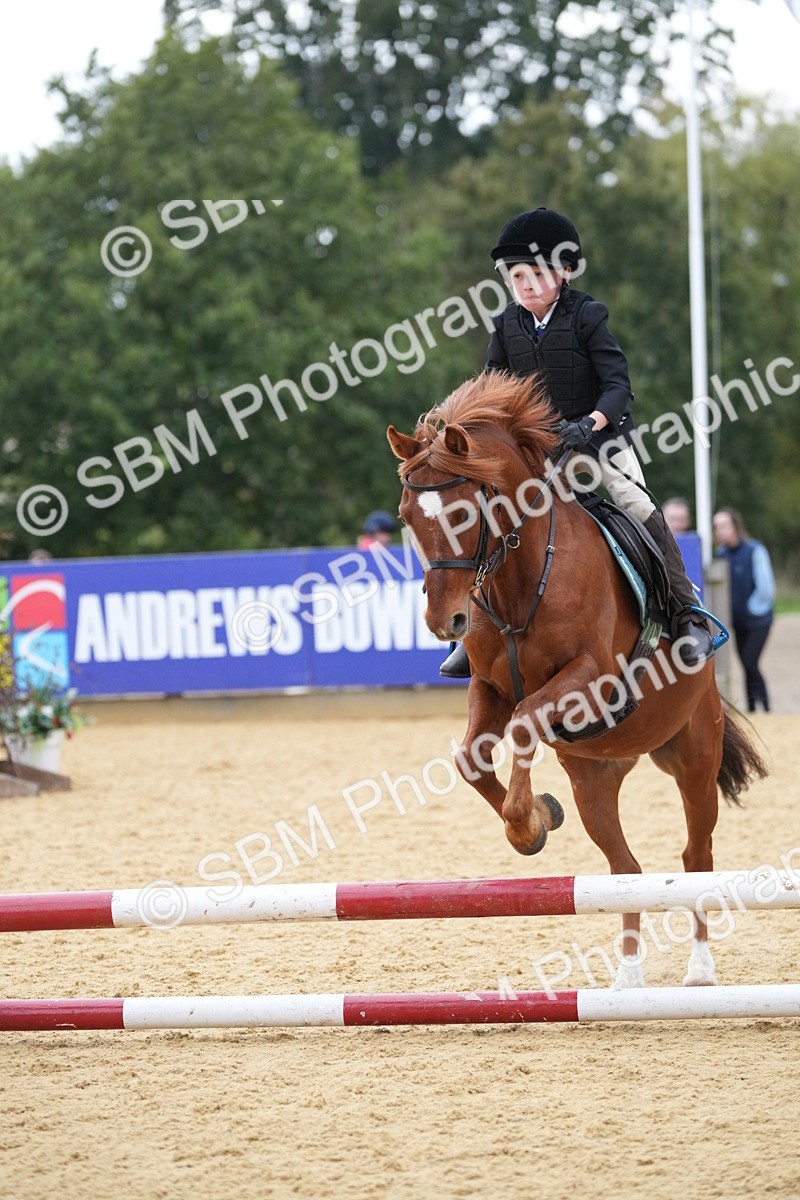 SBM_74616 - J4 - Mini Tour Junior Pony 45cm Championship