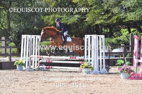 BPP_3516 - CLASS 2 Club/ Unaffiliated 80cms Open