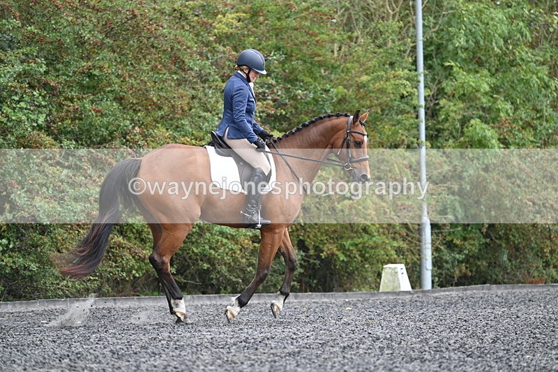 WJ7_4370 - Time 11:43 to 12:09