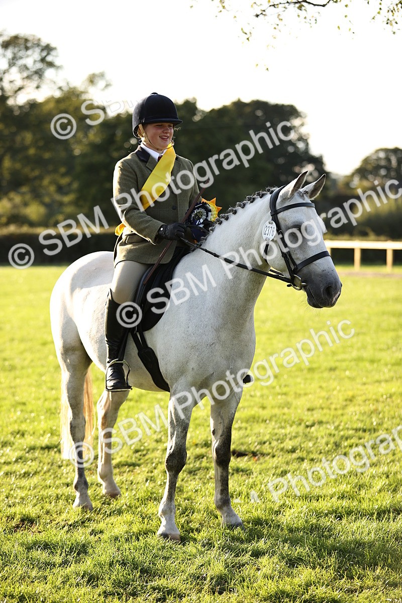 SBM_30148 - Novice & Newcomers Supreme Championship