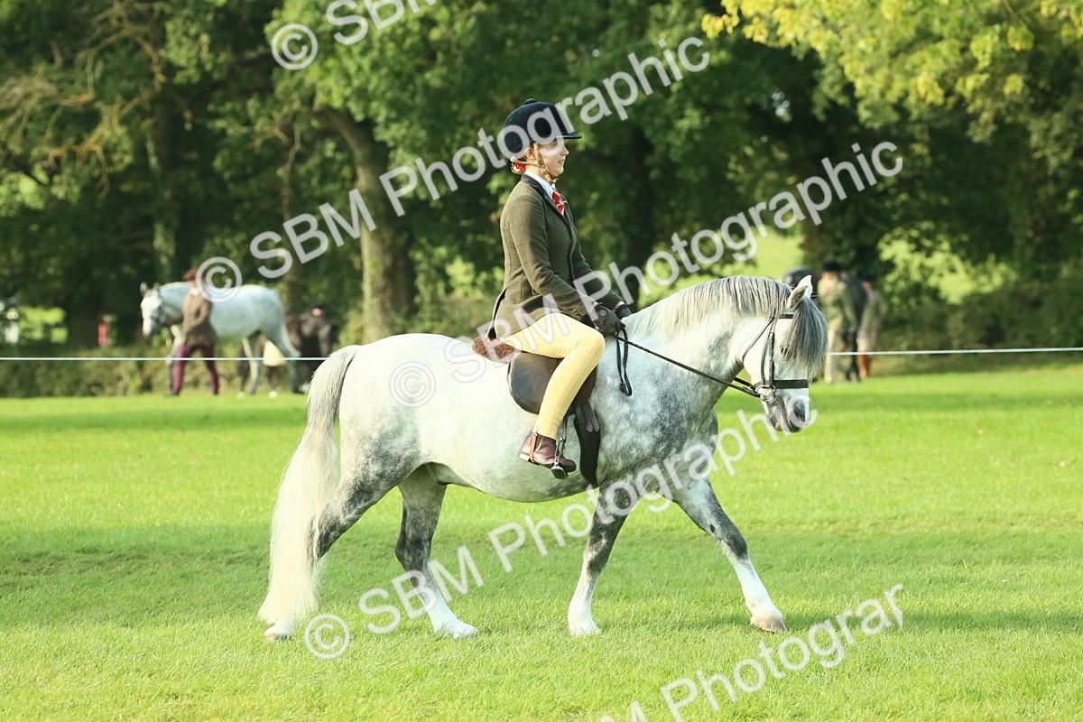SBM_59321 - S38 - Starters Ridden Showing