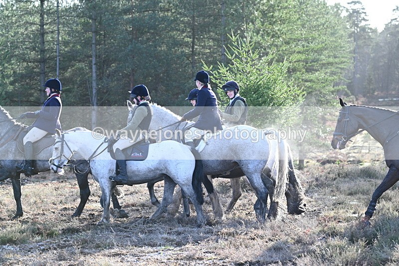 WJ7_7229 - Line 3 (no line 4 or 5)