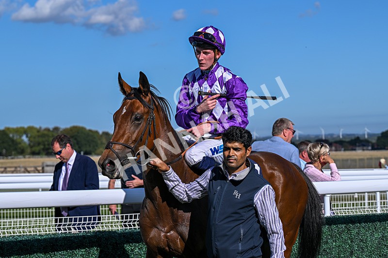 220926-Race 3-Call Me Tomorrow-3688 - Race 3 2.40pm Christmas Parties R Us Restricted Novice Stakes