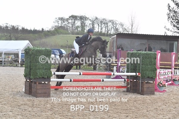 BPP_0199 - CLASS 1 FRI Club/ Unaffiliated 80cms Open