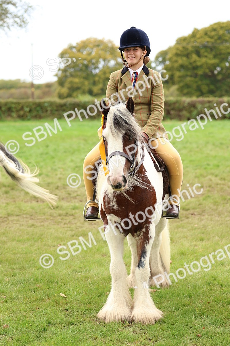 SBM_64668 - S58 - Coloured Pony Ridden