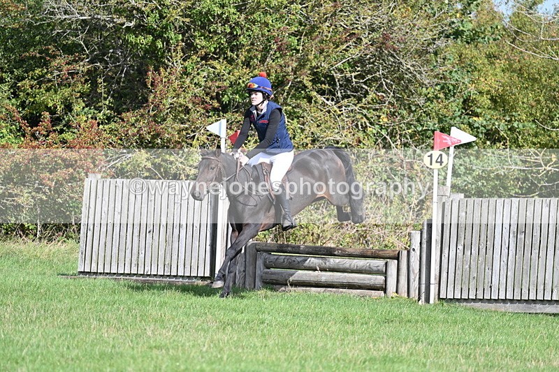 WJ7_8492 - 60cm Pairs