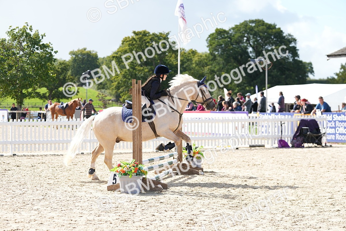 SBM_18140 - J58 - Clear Round 50cm