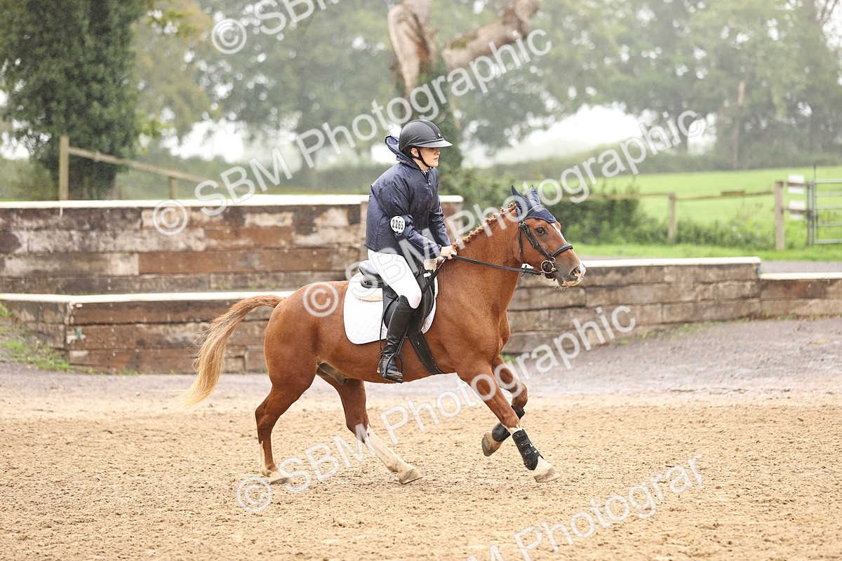 SBM_73361 - J19 - Junior Horse & Pony 90cm Supreme championship