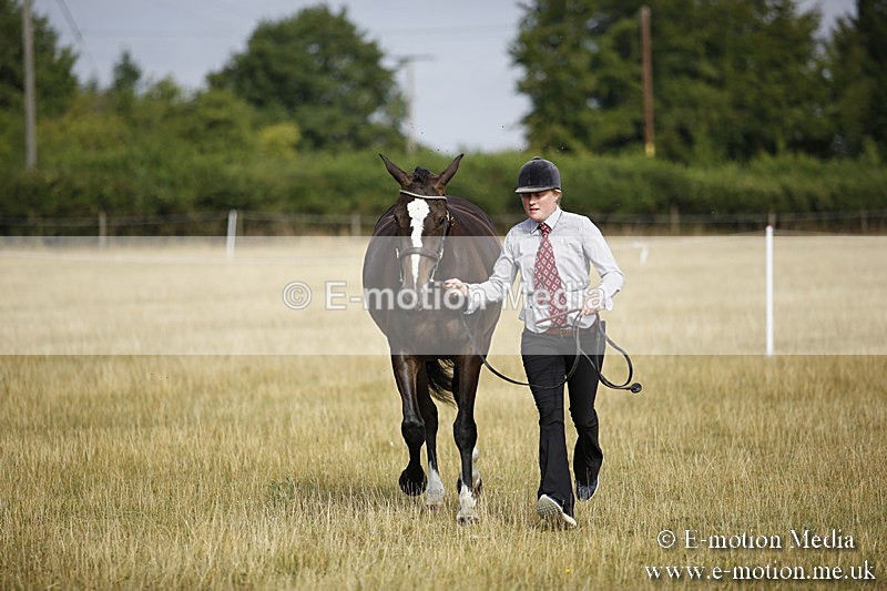 _C7A9125 - BVRC Sow 2018 Ring 2