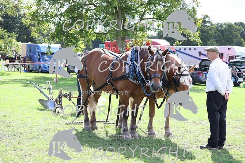 APP_3573 - Class 7 Turnout for a single or pair