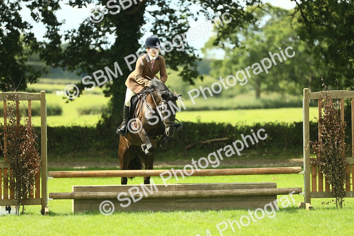 SBM_42872 - S30 - M&M Working hunter Pony