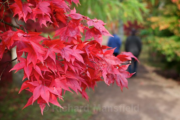  - Autumn