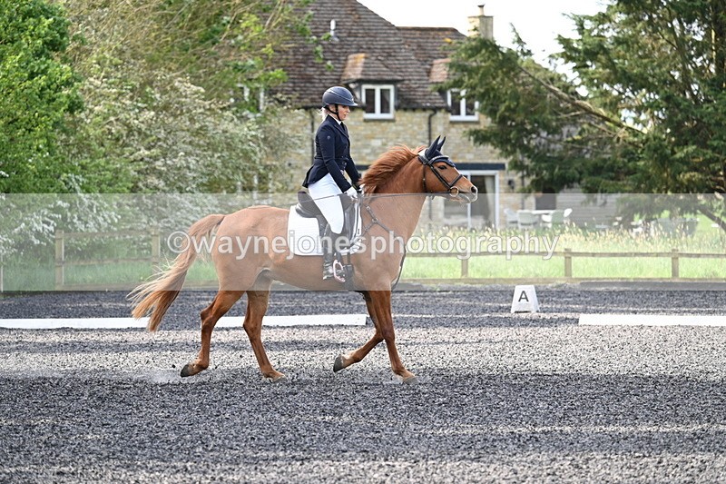 WJ7_7917 - Time 10:11 to 10:27