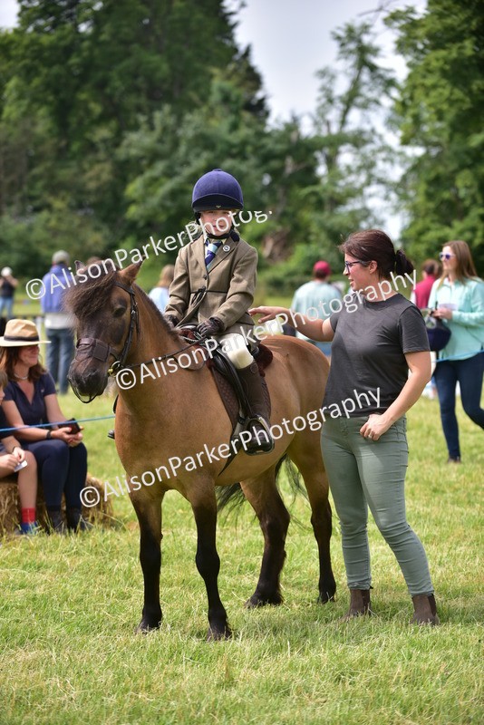 20260614-4012 - Class 16 - Handsome Gelding