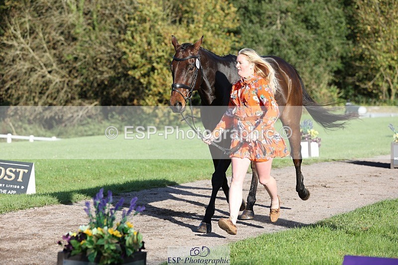 241027-092830-15322 - 420-Pip.Howarth-OTTAVA