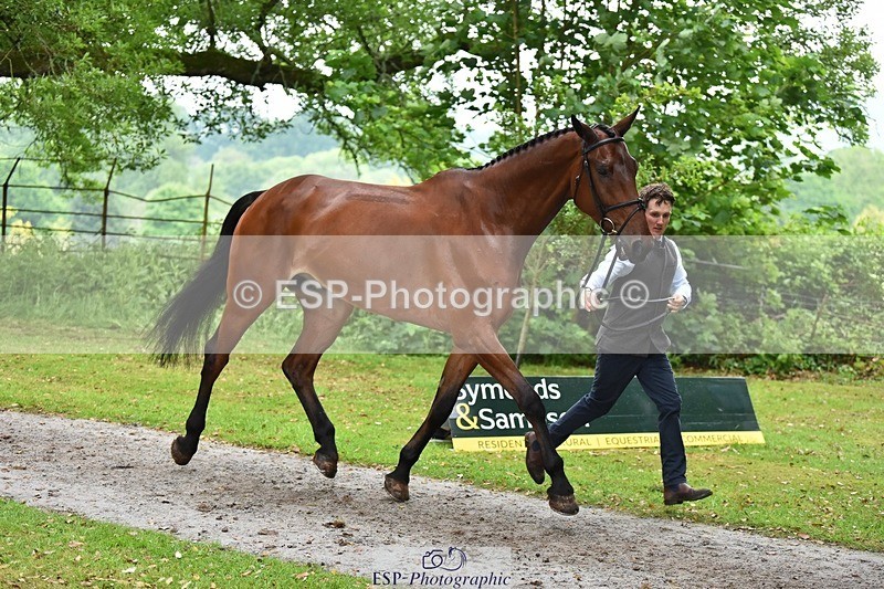 240522-171458-01480 - 256-QUINTUS-Tom_McEwen